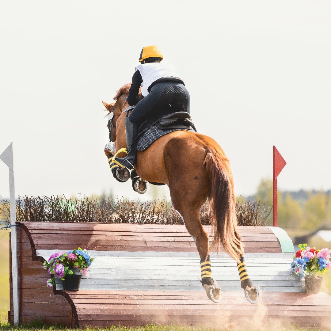EquiTrace Eventing