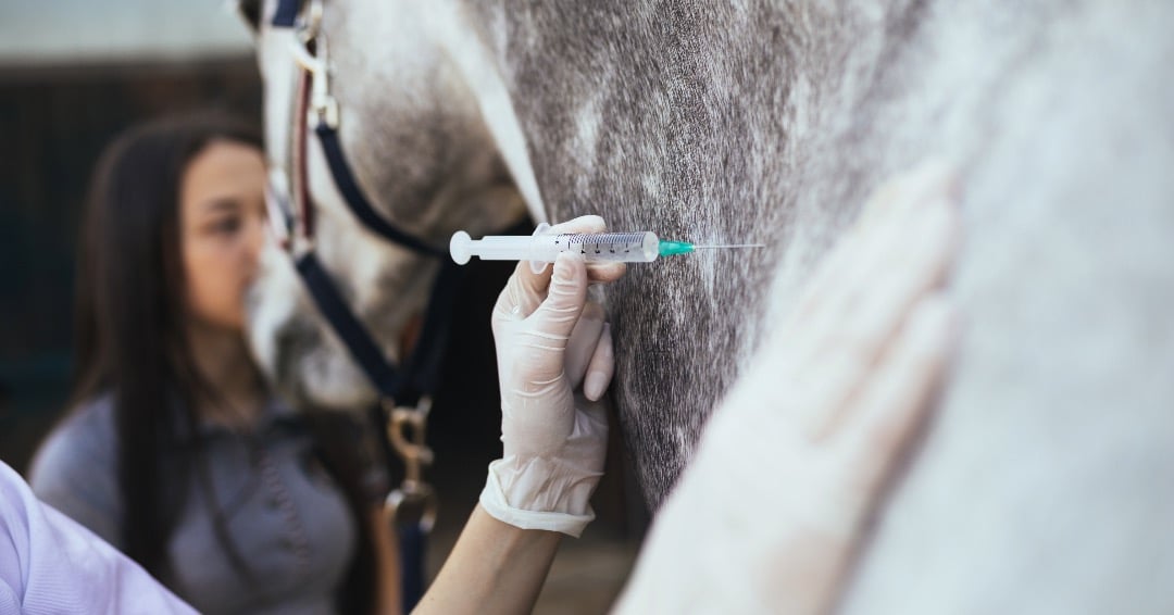 EquiTrace Vaccines