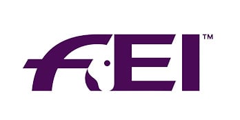 FEI-Logo